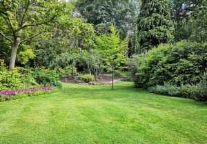 Optimiser l'expérience du jardin à Recicourt