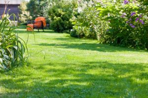 travaux jardin et paysage Recicourt